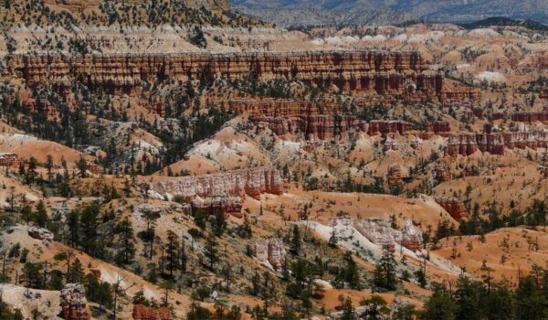 Red Rocks Amphitheatre